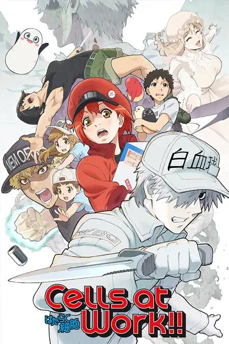 Hataraku Saibou 2